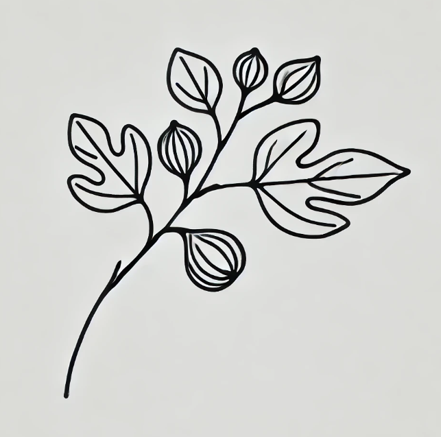 Fig Tree